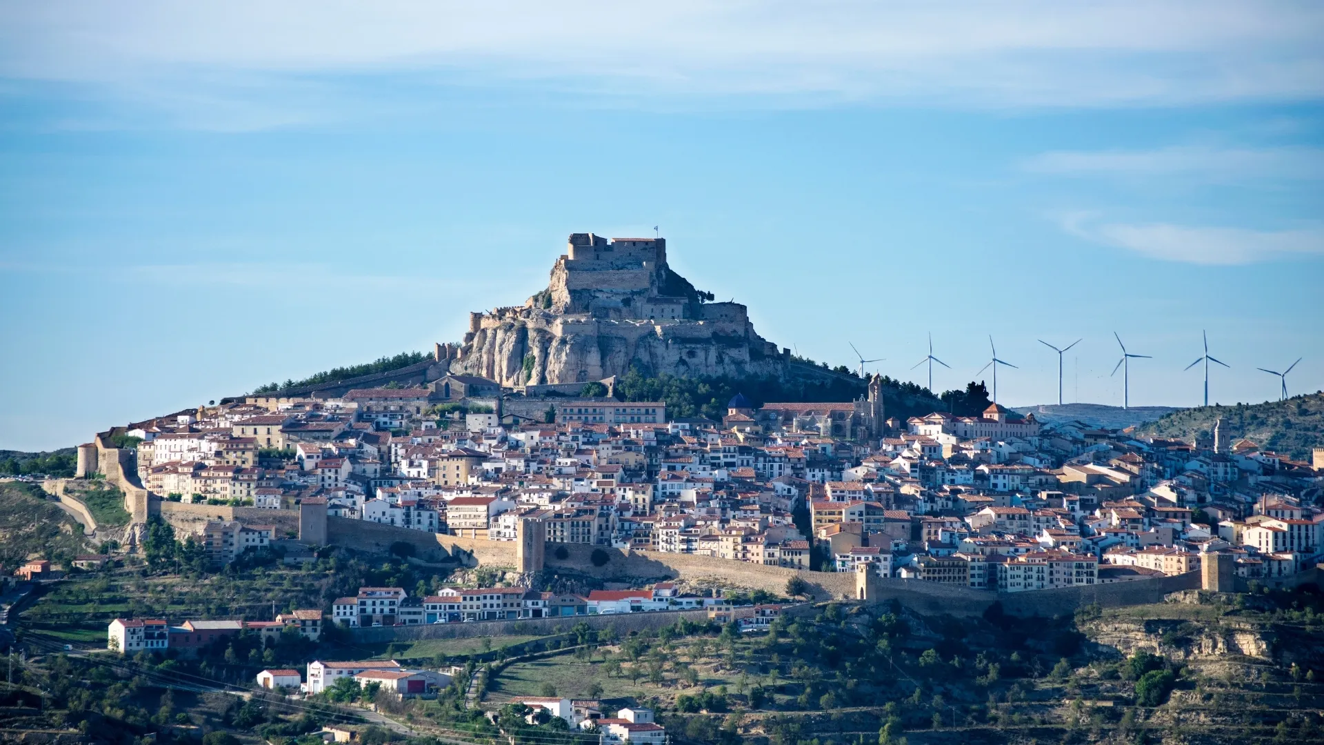 morella