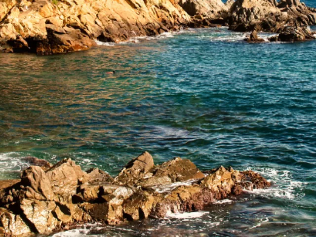 Costa brava: las mejores playas cerca de Barcelona