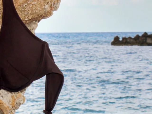 Playas nudistas en Ibiza