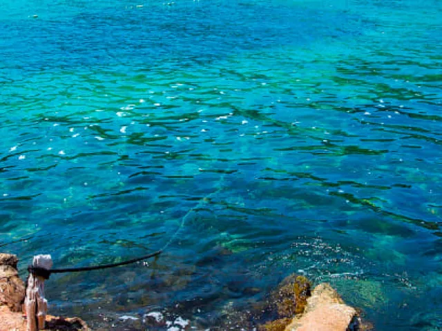 Excursiones en Ibiza: explora y disfruta la isla - Trasmed