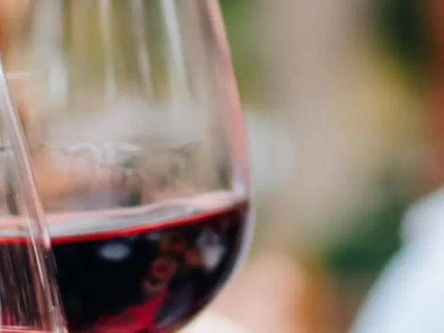 Qué es la Fiesta del Vino | Celebración, historia y mejores lugares