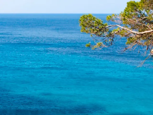 Idioma que se habla en las islas baleares
