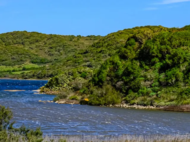 Parque Natural De S'Albufera - Flora, Fauna Y Rutas