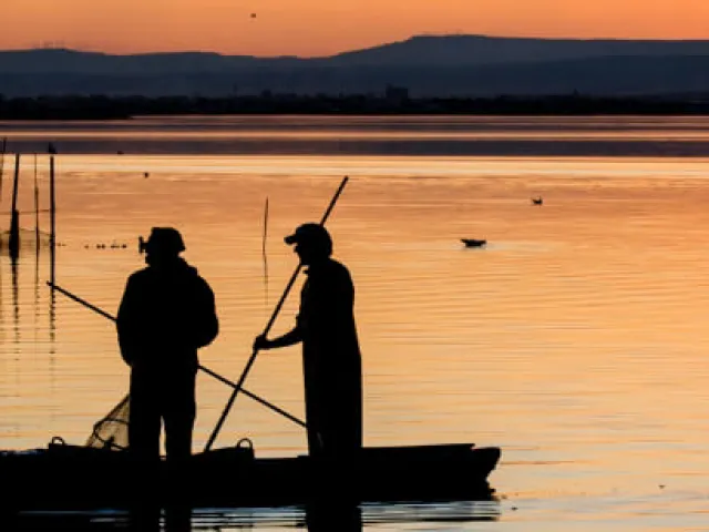 Parque Natural de la Albufera de Valencia