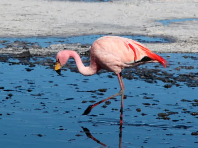 Parque Natural Ses Salines Ibiza - Visita Y Consejos