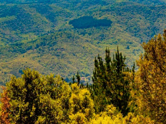 Cómo visitar los parques naturales de Barcelona