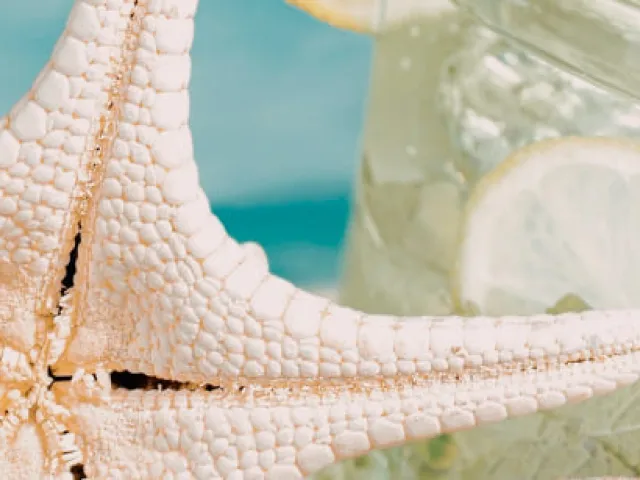 Receta de la pomada de Menorca