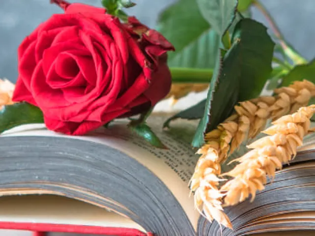 Qué es el Día de Sant Jordi: origen y tradiciones