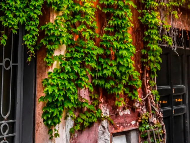 Trastevere: qué ver en el barrio más auténtico y famoso de Roma