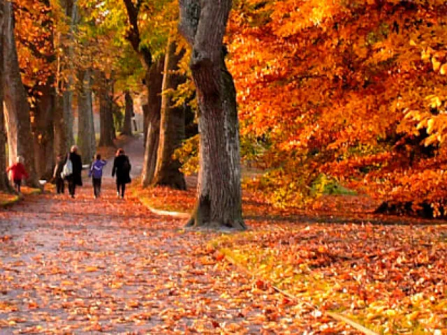 Ventajas de viajar en otoño en ferry