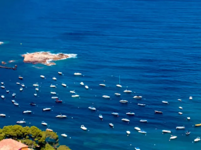Cala Fornells: un paraíso de aguas cristalinas en Mallorca.