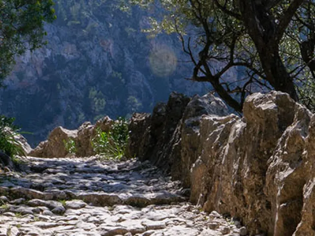5 rutas de montaña que no te puedes perder en Mallorca