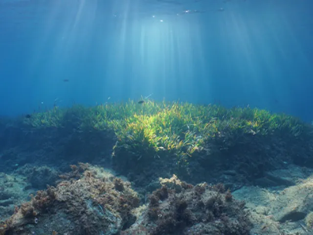 ¿Qué es la talasofobia? Cómo tratar tu fobia al mar abierto